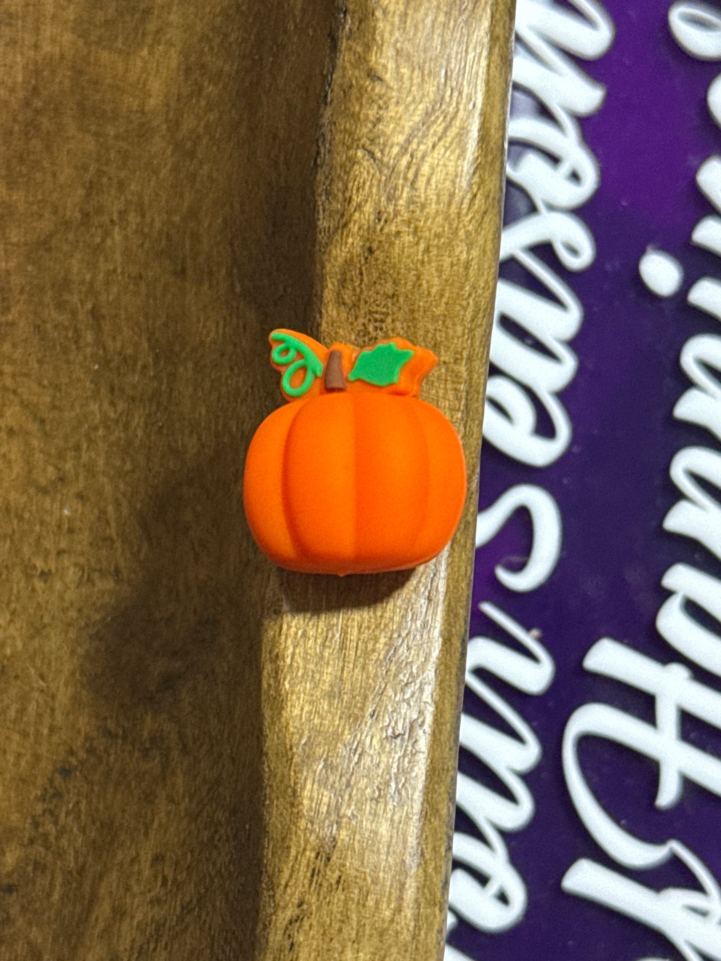 Fall Silicone Focal Bead Collection